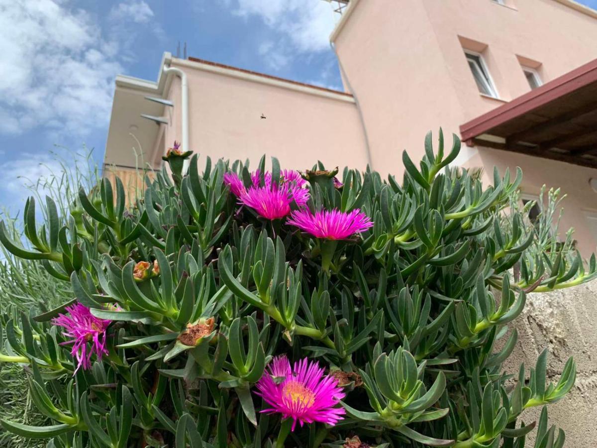 Vila Bella Jaz Budva Exterior foto